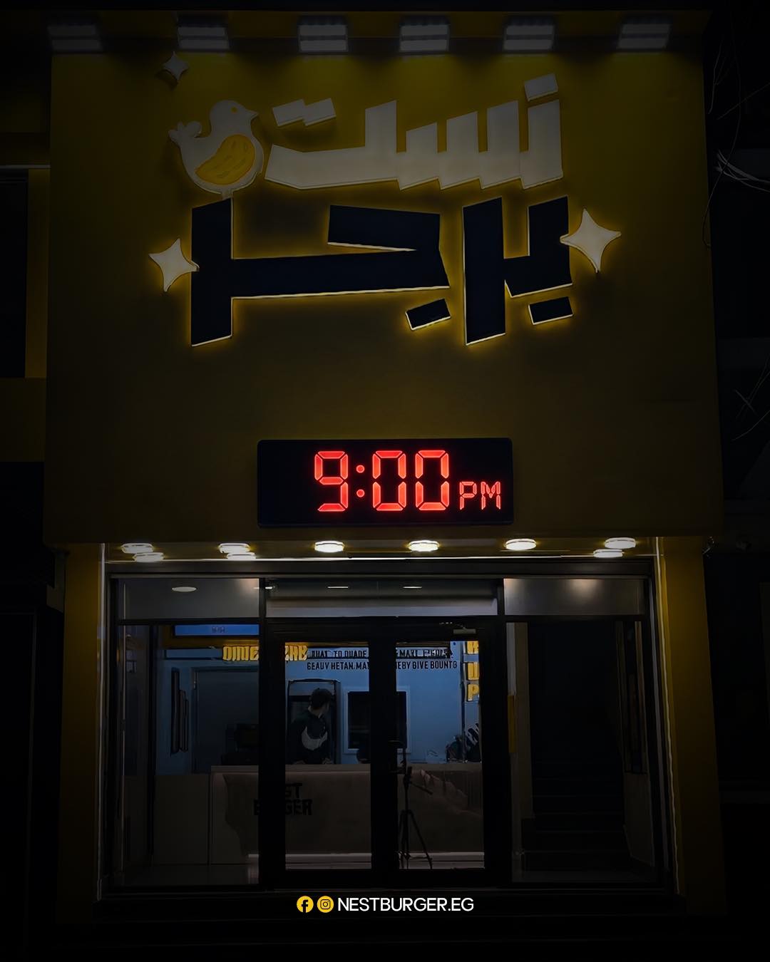 فرع شبين الكوم